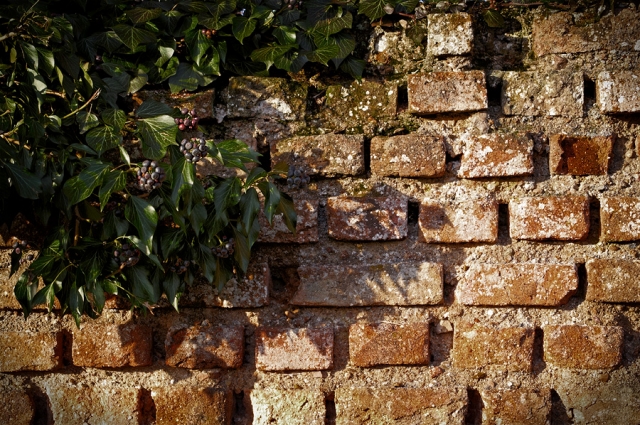 Le mur du temps