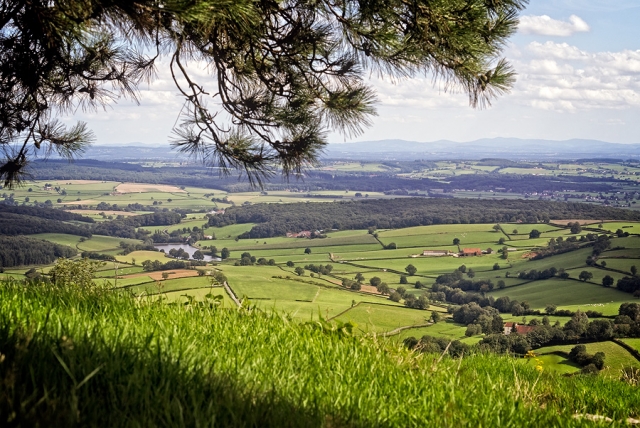 Panorama
