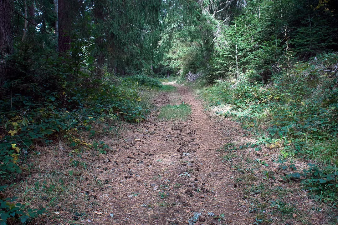 puys-montenard