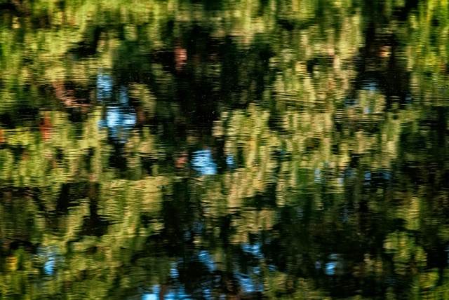 Réflexion de grande mare