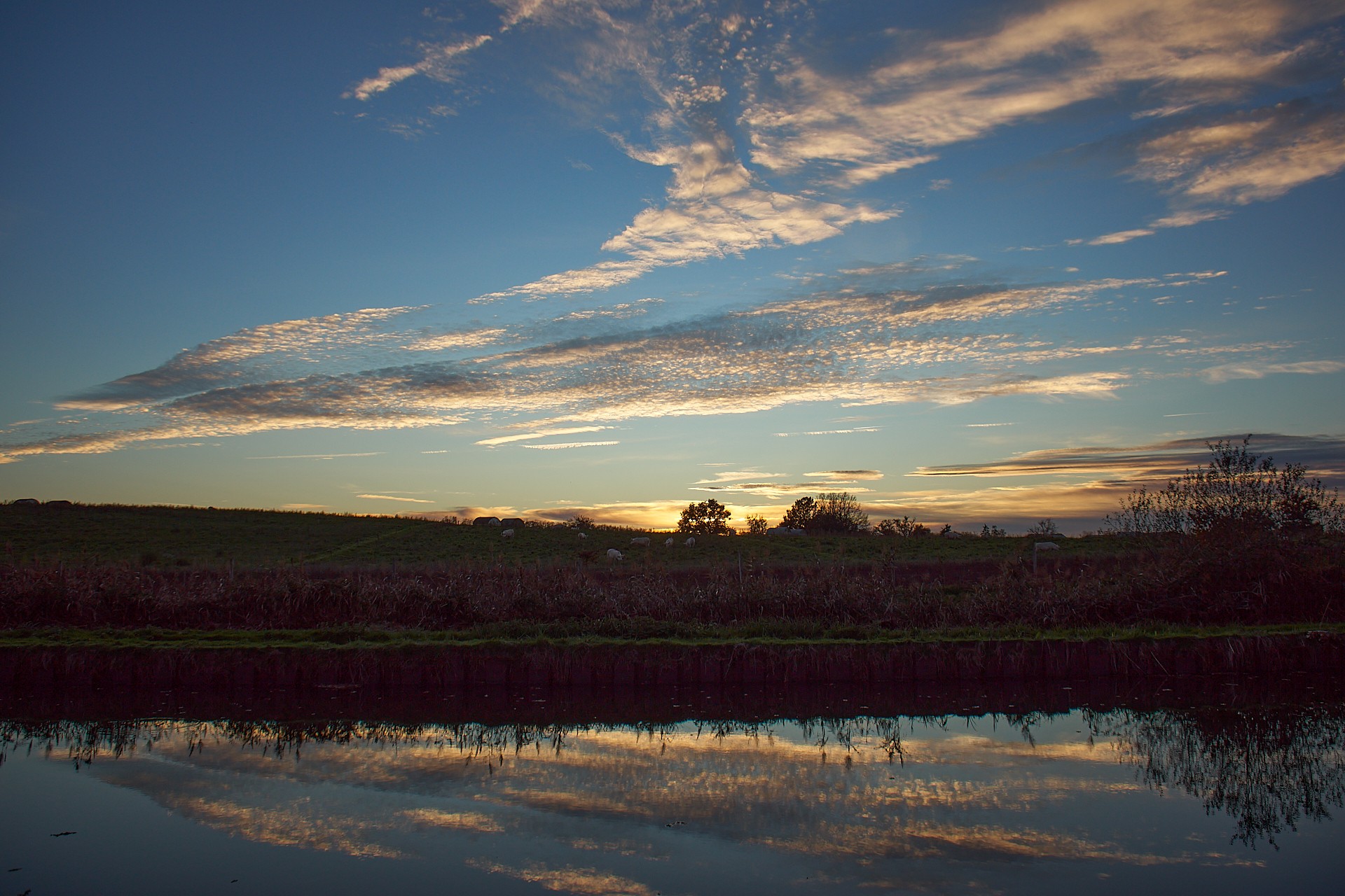 Soleil couchant au canal