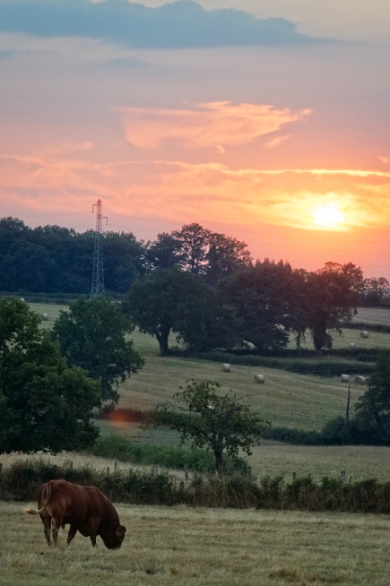 Le soir