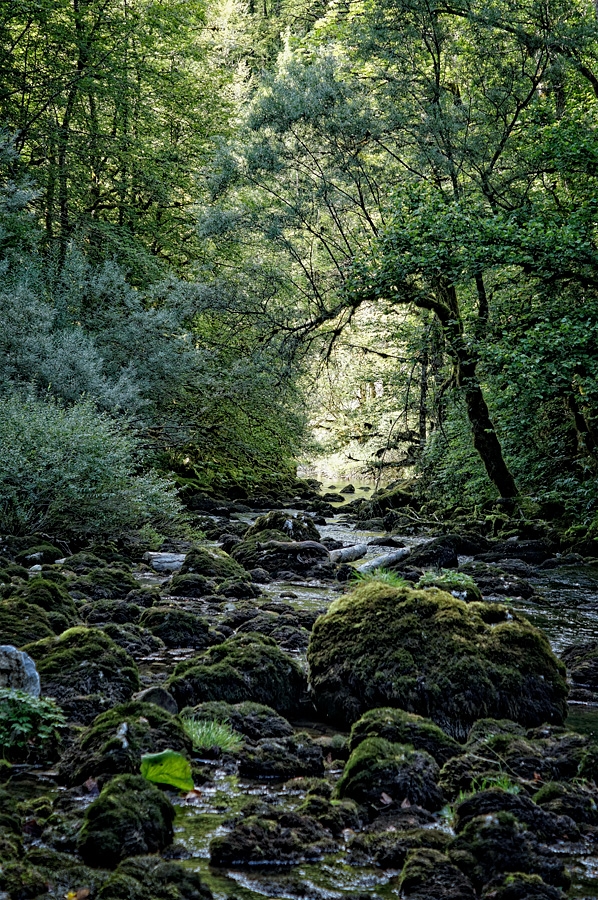 Vers le flumen