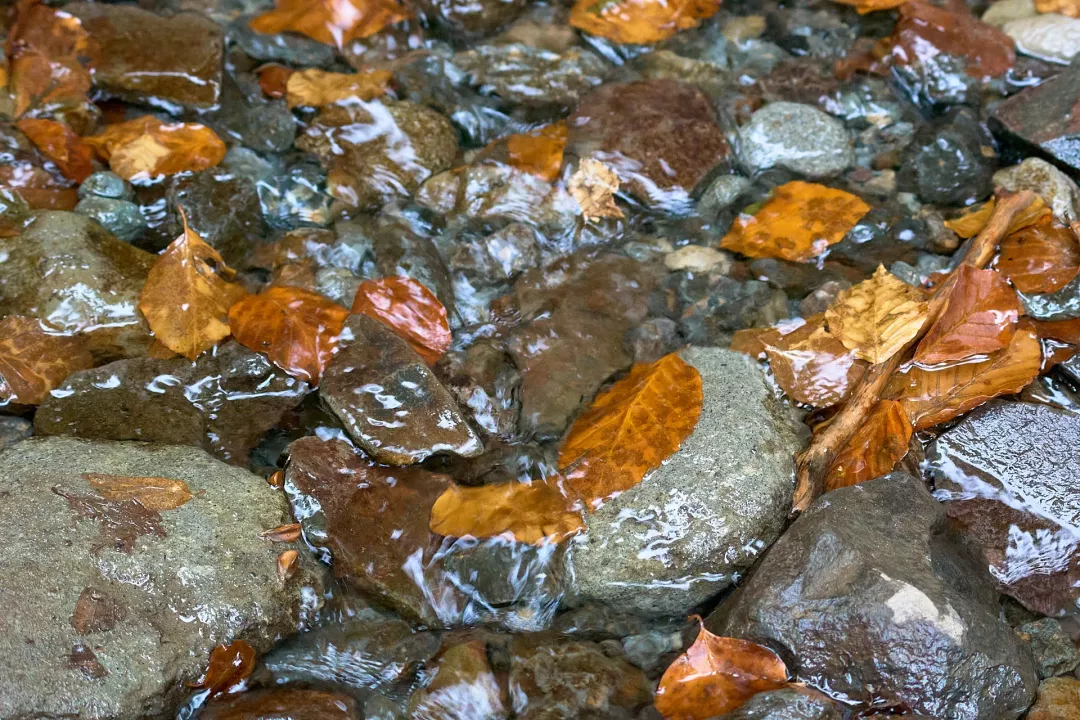 vallee-chaudefour-eau-de-cascade
