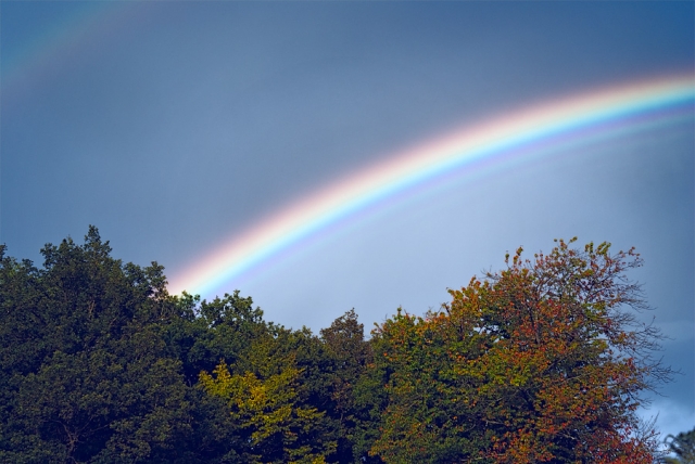 Arc-en-ciel Arc-en-ciel