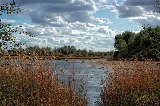 Loire Loire