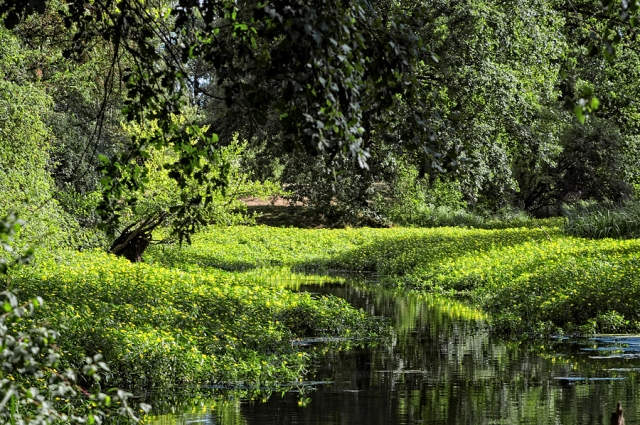 Bras de Loire Bras de Loire