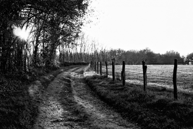 Le petit chemin Le petit chemin