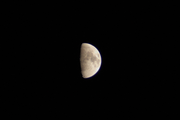 Lune Lune