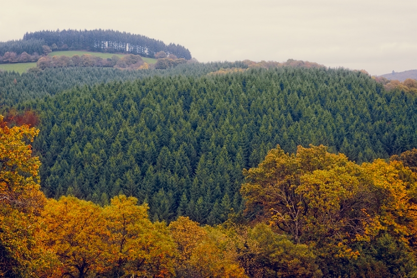 Morvan Morvan