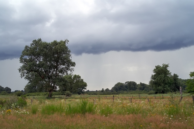 La pluie La pluie